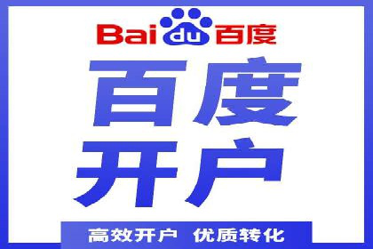 百度推广成功案例分析